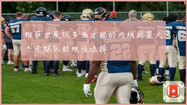 维萨尔展现多面才能的内线新星大个子球队的绝佳选择
