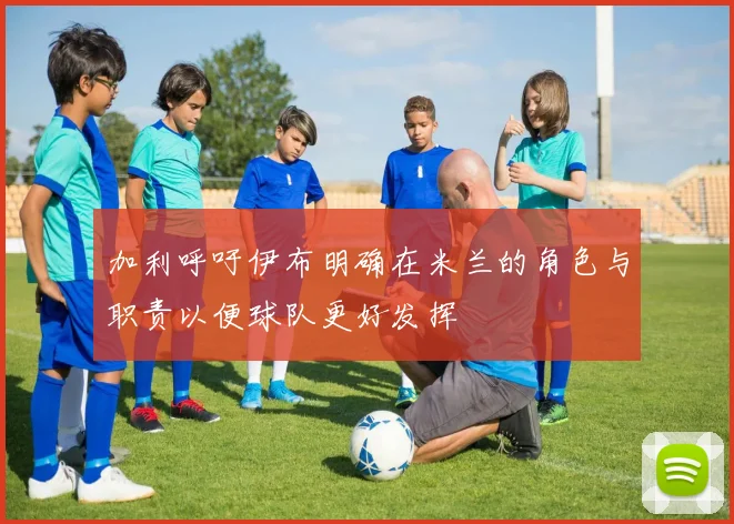 加利呼吁伊布明确在米兰的角色与职责以便球队更好发挥